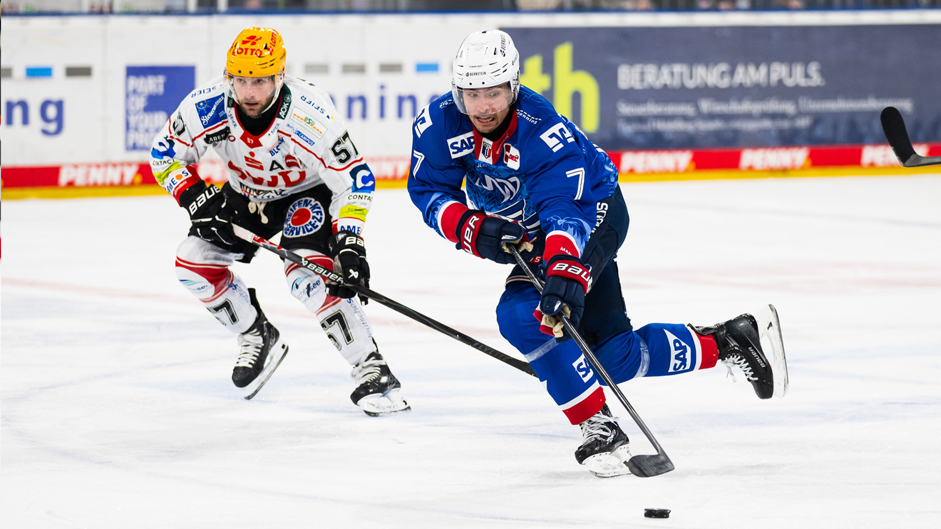 Adler Mannheim gg. Pinguins Bremerhaven